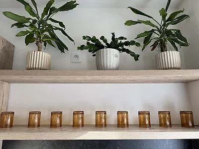 Haus Fric Private Garden House *